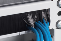 Digitus 2