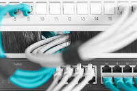 Digitus 4