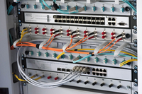 Digitus 1