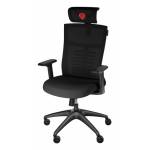 Genesis - Ergonomischer Stuhl ASTAT 200 G2 schwarz