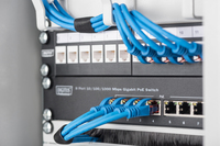 Digitus 9