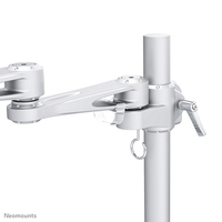 Linea Standard 5