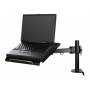 Neomounts - Notebook-Tischhalterung 2Gelenke max.10Kg schwarz