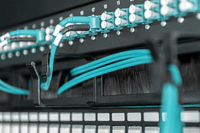 Digitus Professional 1