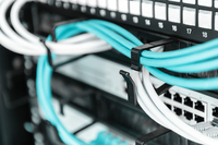 Digitus Professional 2