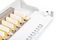 Digitus Professional Dn-91608s-g - Patch Panel - Rack Montie 2