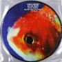 Big Fish Theory (2LP) 1