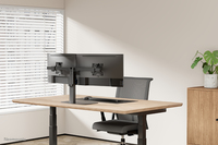 Flat Screen Desk Mount 4