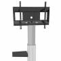 Neomounts By Newstar - PLASMA-M2SIDESHELF - Montagekomponente (Regal) (PLASMA-M2SIDESHELF)