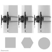 Neomounts 1