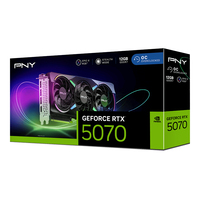 Pny Technologies 2