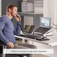 Fellowes