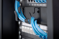 Digitus 4