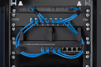 Digitus 6