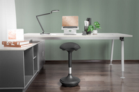 Digitus Ergonomischer Hocker/ stehhilfe, Hhenverst., Gasd 1