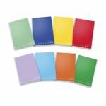 Quaderni Punto Metallico - Cf10quaderno Maxi Monocrom 100gr 10