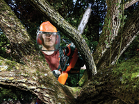 Black & Decker 5