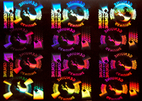 Evolis 2