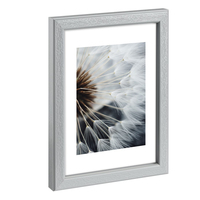 Hama Breeze - Glas - Polystyrol (ps) - Grau - Einzelbilderra 1