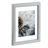 Hama Breeze - Glas - Polystyrol (ps) - Grau - Einzelbilderra 1