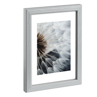 Hama Breeze - Glas - Polystyrol (ps) - Grau - Einzelbilderra 1