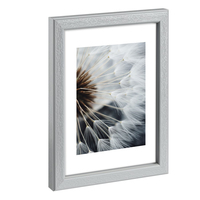 Hama Breeze - Glas - Polystyrol (ps) - Grau - Einzelbilderra 1