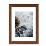 Hama Breeze -Glas -Polystyrol (ps) -Braun -Einzelbilderr - Hama Breeze Marron Cadre pour une seule photo