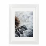 Hama Breeze -Glas -Polystyrol (ps) -Wei -Einzelbi - Hama Breeze - Glas - Polystyrol (PS) - Wei - Einzelbilderrahmen - Tisch - Wand - 7 x 10 cm - Rechteckig (00193050)