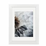 Hama Breeze -Glas -Polystyrol (ps) -Wei -Einzelbi - Breeze - Glas - Polystyrol (PS) - Wei - Einzelbilderrahmen - Tisch - Wand - 10 x 15 cm - Rechteckig (00193052)