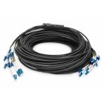 Digitus Lwl Patchkabel Lc->upc 75m Vorkonfektioniert Os2 12 - Digitus Pre-assembled Fiberglass Universal Breakout Cable, Single Mode OS2, 12 Fibers, LC/UPC - LC/UPC