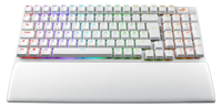 Asus 2