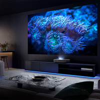 Hisense 13