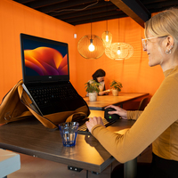 R-go - R-Go NBT+St�nder Viva 15.6 vollnarbenleder ergono. braun (RGOAVLAPBR)