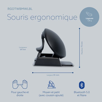 R-go Tools 4