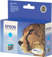 Epson 3