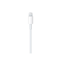 Apple 3