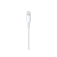 Apple 4