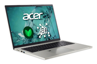 Acer 1