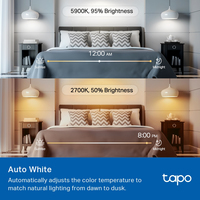 Tapo 10
