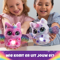 Spin Master 5