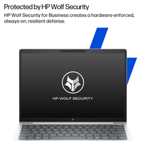 Hp Inc 13