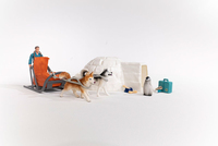 Schleich Gmbh 6
