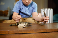 Schleich Gmbh 2