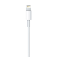 Apple 3
