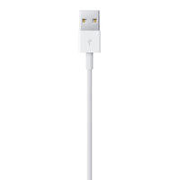 Apple 4