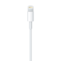 Apple 2