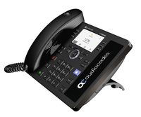 Audiocodes 2
