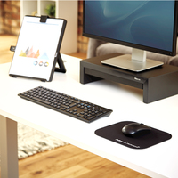 Fellowes 1