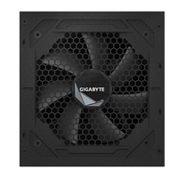 Gigabyte 1