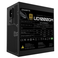 Gigabyte 4